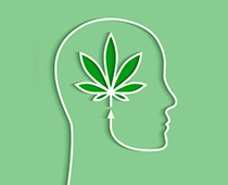 Cannabis-disorder_study_thumbnail-image_210x170px.jpg